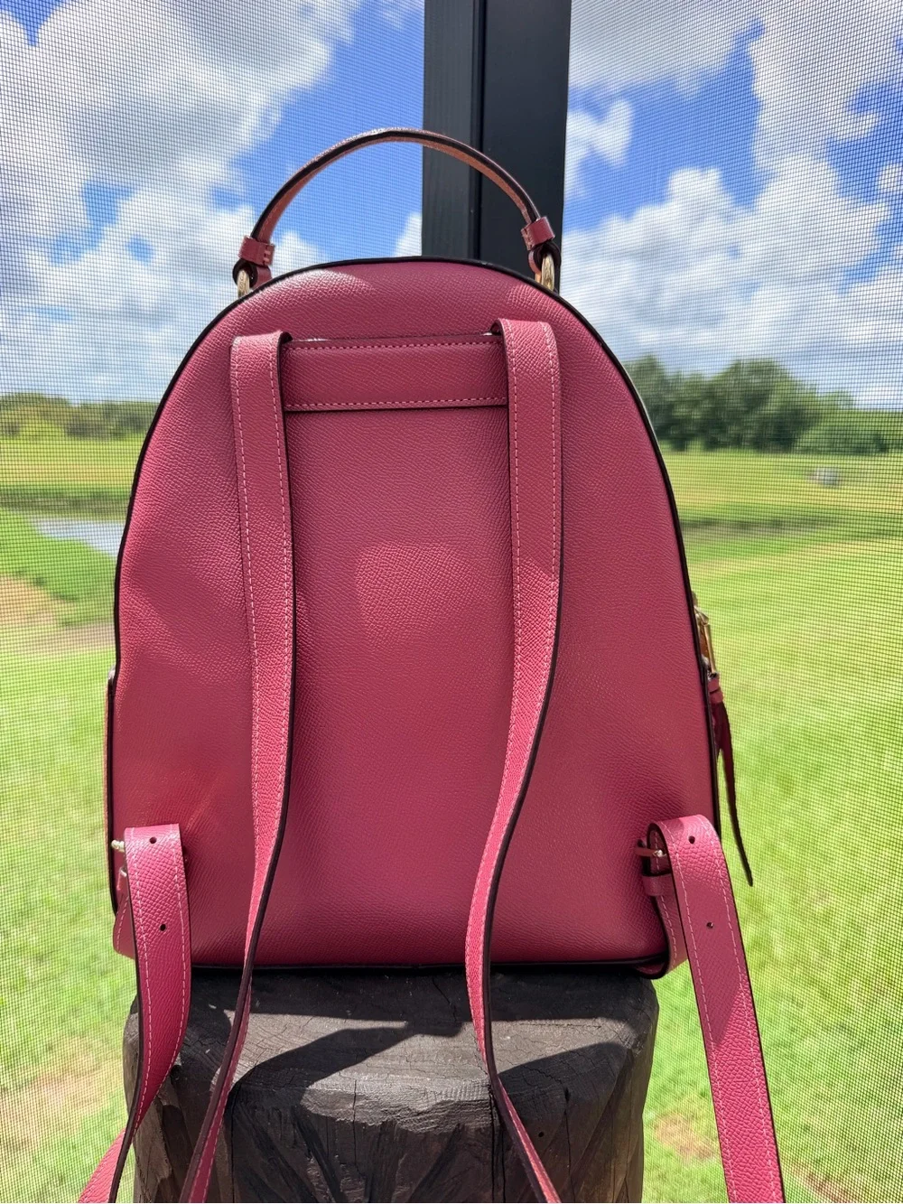 Coach Jordyn Backpack F76622 Rouge Pink Signature Canvas Leather